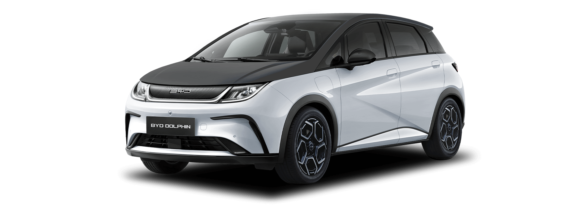 byd doplhin